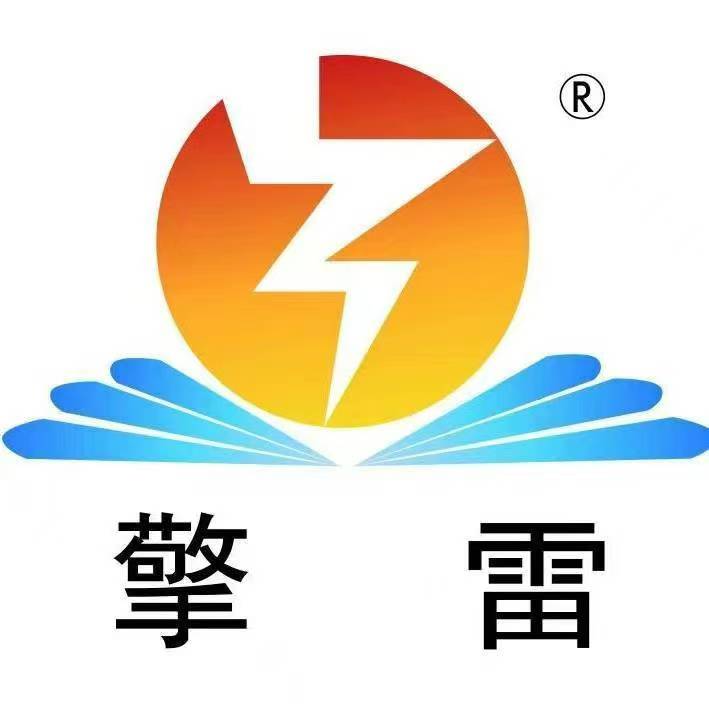 山东擎雷环境科技股份有限公司公司LOGO